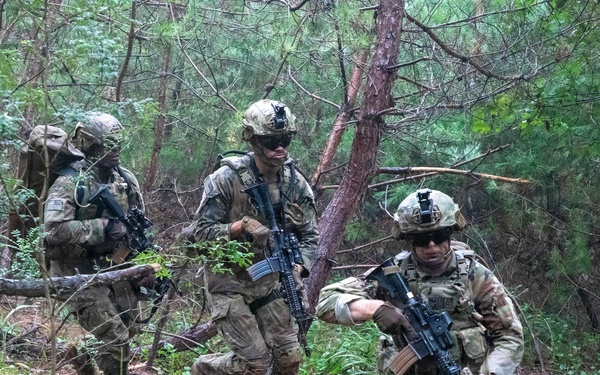 Combined Arms Life Fire Exercise(CALFEX)