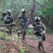 Combined Arms Life Fire Exercise(CALFEX)