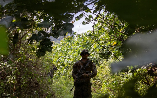 MRF-D Marines, Indonesian marines perform full mission profile exercise during platoon exchange