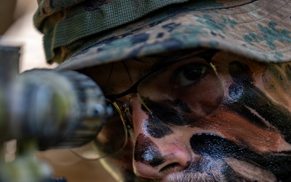 MRF-D Marines, Indonesian marines perform full mission profile exercise during platoon exchange