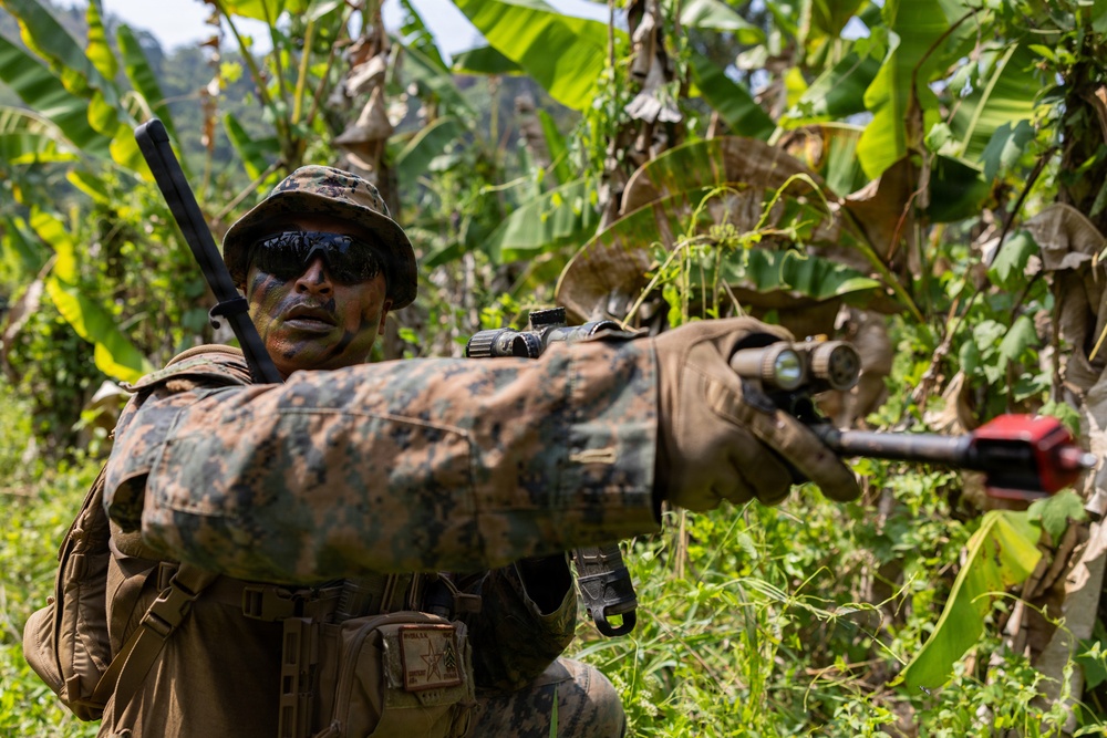 MRF-D Marines, Indonesian marines perform full mission profile exercise during platoon exchange