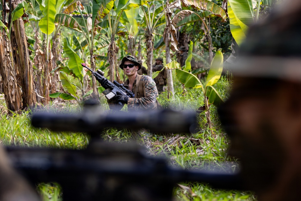 MRF-D Marines, Indonesian marines perform full mission profile exercise during platoon exchange