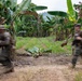 MRF-D Marines, Indonesian marines perform full mission profile exercise during platoon exchange