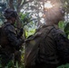MRF-D Marines, Indonesian marines perform full mission profile exercise