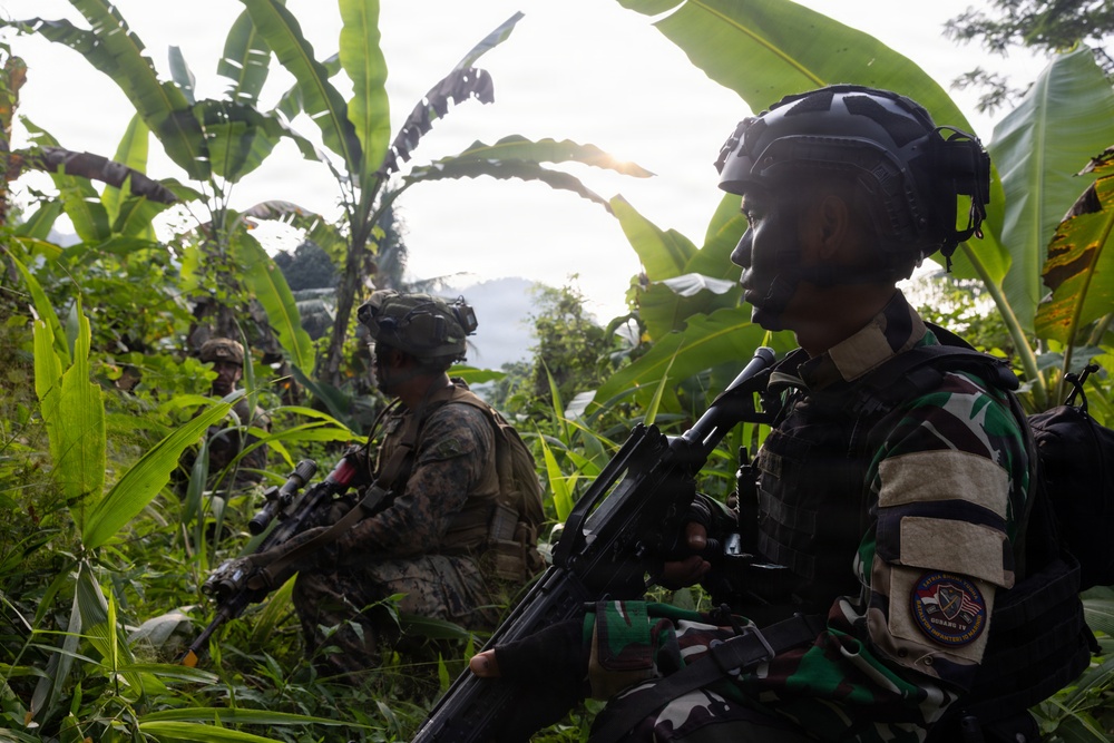 MRF-D Marines, Indonesian marines perform full mission profile exercise