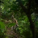 18th Wing hosts scenario based training during Operation Sentinel Samurai