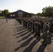 A large formation of military personnel, predominantly in U.S. Marine Corps MARPAT woodland camouflage uniforms, are standing at attention on a parade ground or drill deck. At least one individual in Navy Working Uniform (NWU Type III) is visible in the foreground, suggesting a joint-service formation. The setting appears to be a military installation with a brick building, flagpoles, and tree-lined hills in the background.