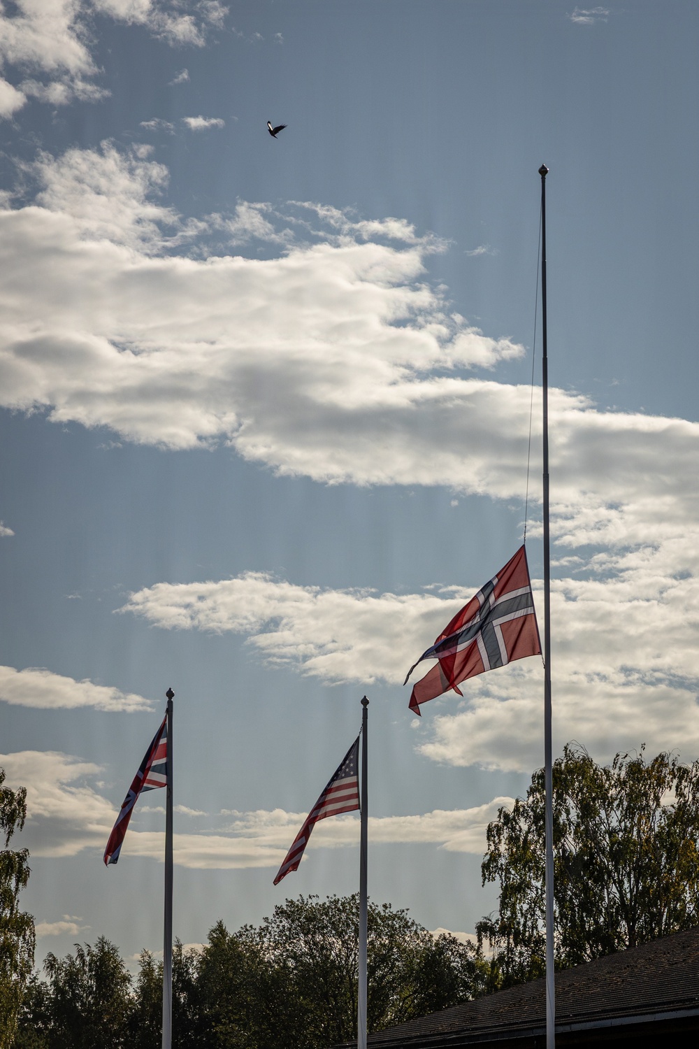 Three flagpoles are visible, with the Norwegian flag flying at half-mast on the tallest pole in the foreground, indicating a period of mourning or commemoration. The middle pole displays the American flag and the left pole displays the British Union Jack, both also appearing to fly at reduced height. The scene is set against a partly cloudy sky with trees visible in the background and a bird in flight near the top of the frame.