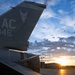 Exercice AMALGAM DART 26