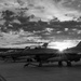 Exercice AMALGAM DART 26