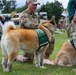 National Guard Soldiers, Airmen partner with therapy canines to boost morale, wellness at Patriot 26