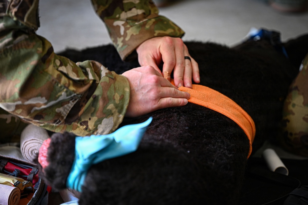 109th Aeromedical Evacuation Squadron tests emergency medical preparedness during Patriot 26