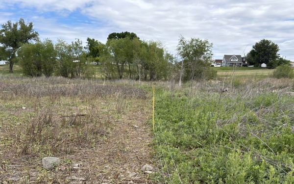 From herbicides to herbivores: Harlan County’s new plan to tackle pesky plants
