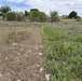 From herbicides to herbivores: Harlan County’s new plan to tackle pesky plants