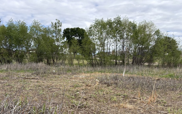 From herbicides to herbivores: Harlan County’s new plan to tackle pesky plants