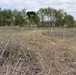 From herbicides to herbivores: Harlan County’s new plan to tackle pesky plants