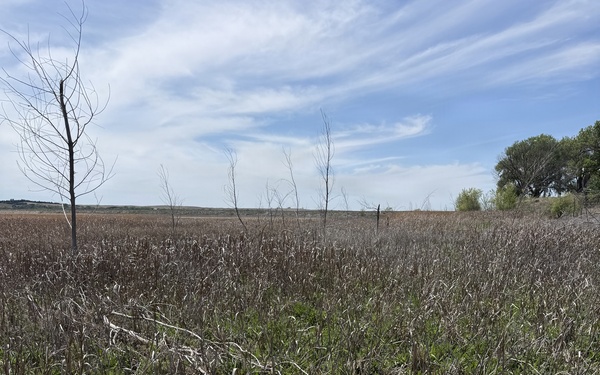From herbicides to herbivores: Harlan County’s new plan to tackle pesky plants