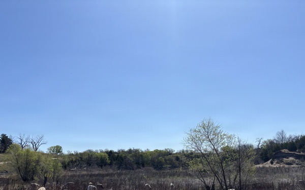 From herbicides to herbivores: Harlan County’s new plan to tackle pesky plants