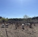 From herbicides to herbivores: Harlan County’s new plan to tackle pesky plants