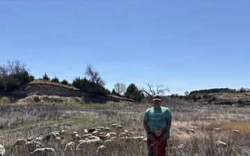 From herbicides to herbivores: Harlan County’s new plan to tackle pesky plants