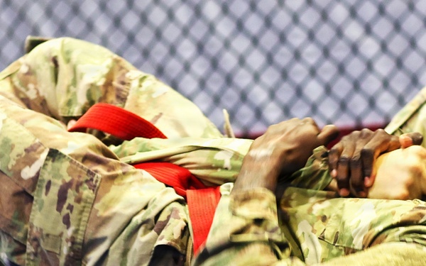 Grit, Courage and Resilience Define Illinois Army National Guard Combatives Champions