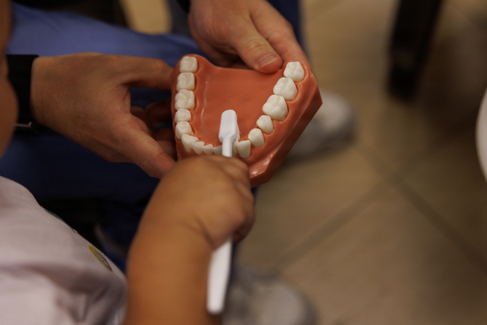 A dental professional in blue scrubs is holding a dental jaw model while a child practices brushing teeth using a small white toothbrush. The scene appears to be a dental education or demonstration session, likely teaching proper brushing technique. The model features realistic-looking white teeth set in an orange/terracotta-colored gum base.