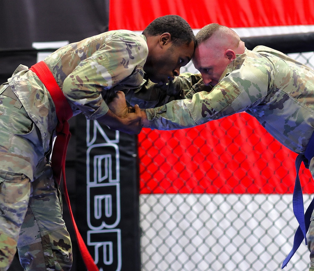 Grit, Courage and Resilience Define Illinois Army National Guard Combatives Champions