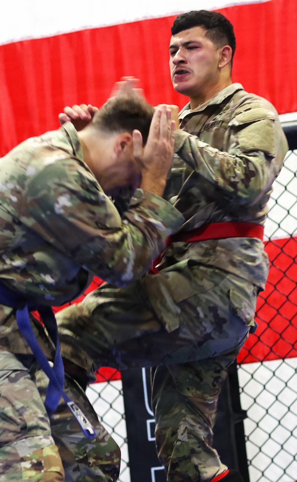 Grit, Courage and Resilience Define Illinois Army National Guard Combatives Champions