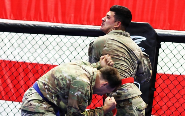 Grit, Courage and Resilience Define Illinois Army National Guard Combatives Champions