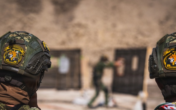 Fuerzas Comando 2026