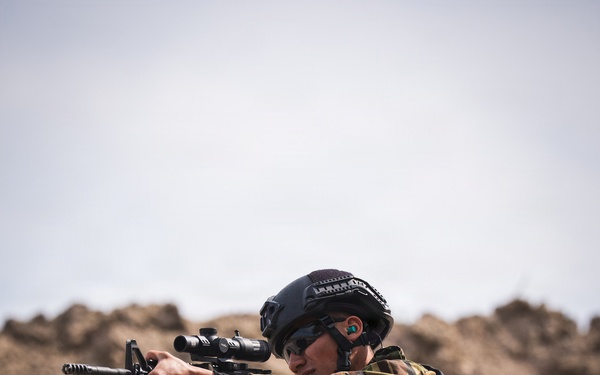 Fuerzas Comando 2026