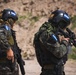 Fuerzas Comando 2026