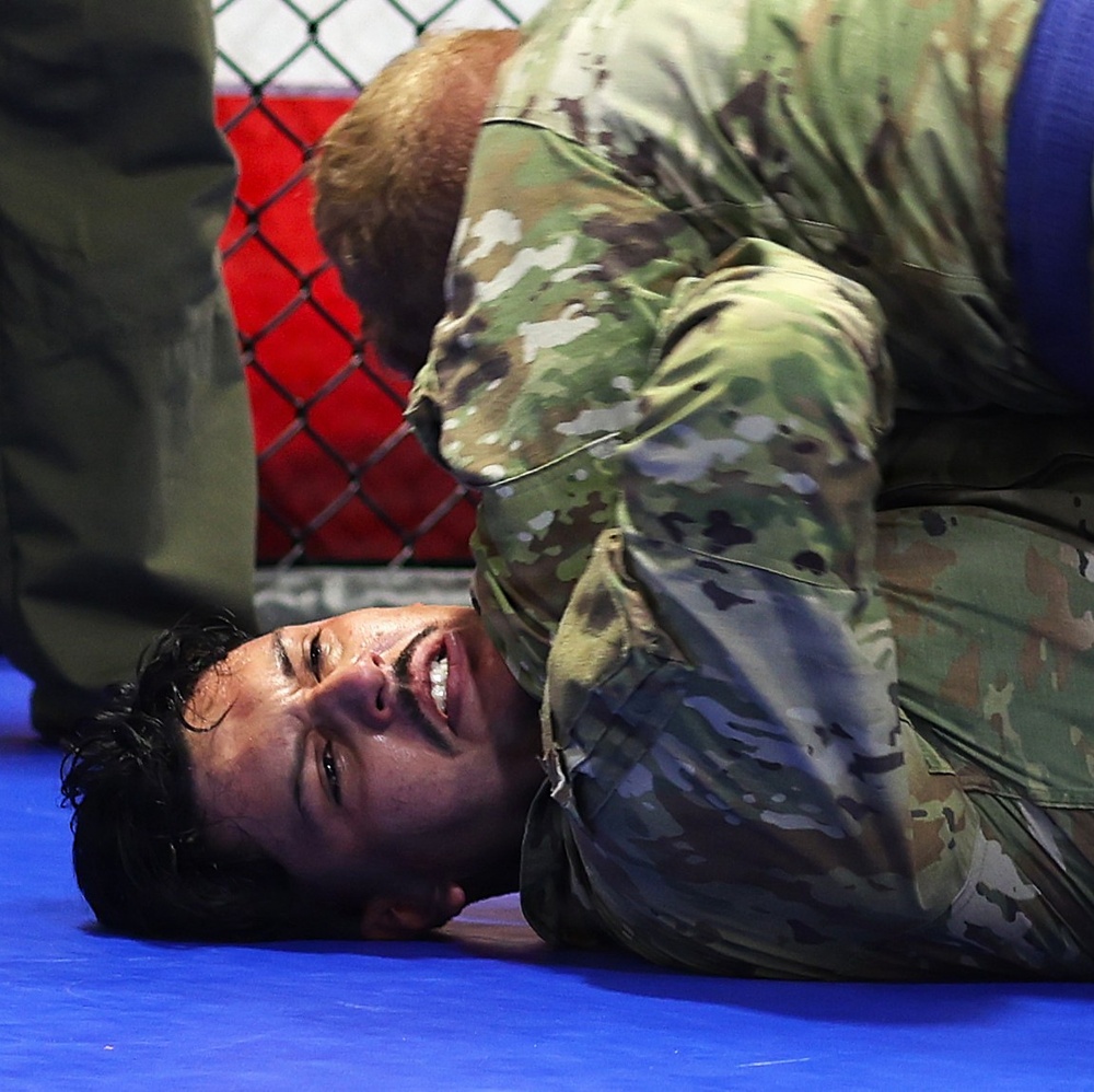 Grit, Courage and Resilience Define Illinois Army National Guard Combatives Champions