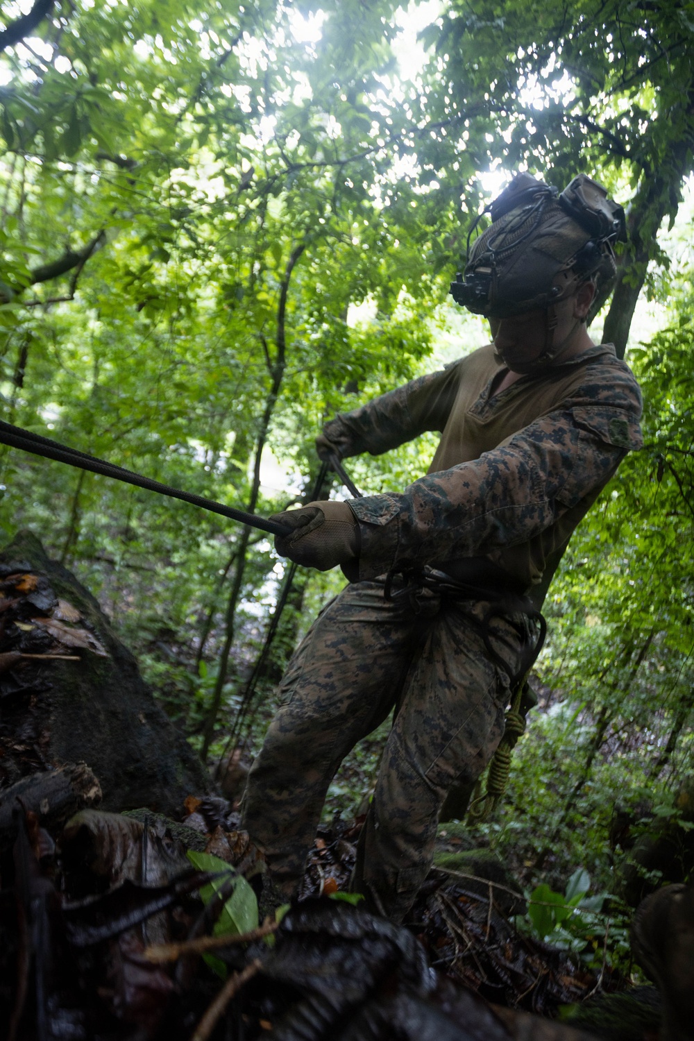 A military service member in MARPAT woodland camouflage uniform is operating in a dense forest environment, pulling or managing a rope or cable. The individual is equipped with a tactical helmet mounted with night vision device (NVD) and is wearing tactical gloves. The low-angle photograph captures the soldier working amid heavy vegetation and wet, muddy terrain.