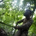 A military service member in MARPAT woodland camouflage uniform is operating in a dense forest environment, pulling or managing a rope or cable. The individual is equipped with a tactical helmet mounted with night vision device (NVD) and is wearing tactical gloves. The low-angle photograph captures the soldier working amid heavy vegetation and wet, muddy terrain.