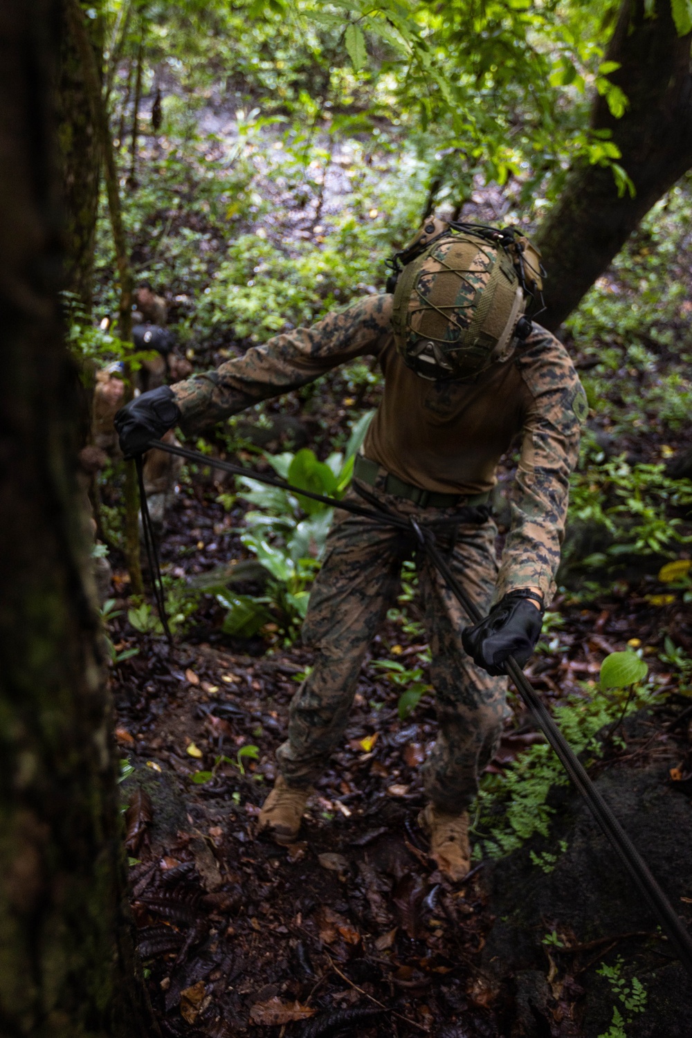 A military service member in MARPAT (Marine pattern) camouflage uniform is navigating through dense jungle terrain while using a rope for assistance. The individual is equipped with tactical gear including a helmet with netting, black gloves, and combat boots. The setting appears to be a jungle warfare training or operational environment.