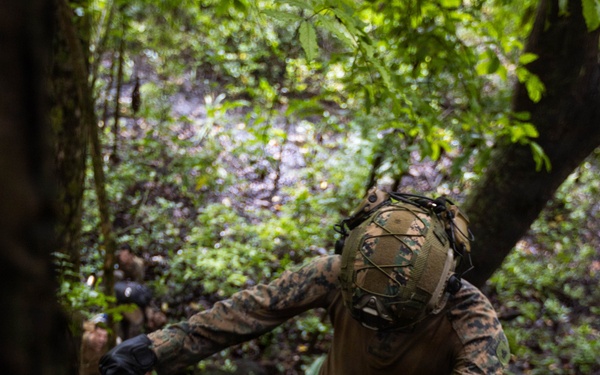 LCF-24: By Fire and Close Combat, V32 Rappelling