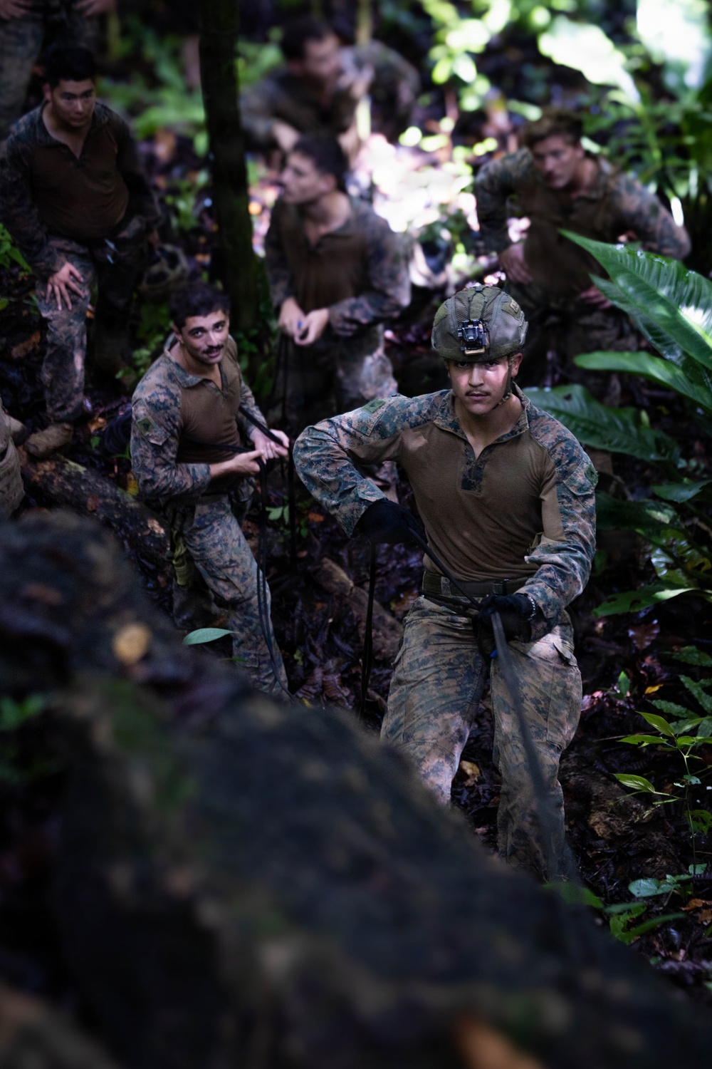 A group of military personnel in camouflage uniforms are navigating through dense jungle terrain, climbing over rocks and vegetation. The foreground soldier wears a tactical helmet with a mounted device and gloves, suggesting a training or operational exercise in a tropical environment. Multiple soldiers are visible in the background, all wearing matching MARPAT (Marine pattern) digital camouflage uniforms.