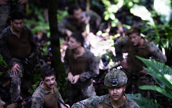 LCF-24: By Fire and Close Combat, V32 Rappelling