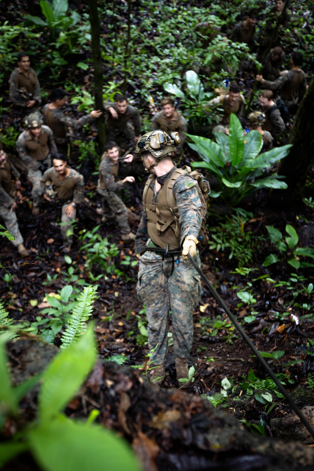 A group of military personnel in camouflage uniforms are gathered in a dense jungle or tropical forest environment. A foreground soldier wearing full tactical gear including helmet with night-vision mount, backpack, and gloves is holding a rope or cable, likely conducting a rappelling or rope-course training exercise. The remaining personnel are seated or crouching on the forest floor, observing or awaiting their turn.