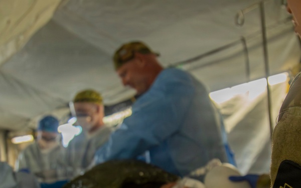 U.S. Pacific Command Visit: 593rd CSC &amp; 62nd Medical Brigade Demonstrate Emergency Resupply &amp; Role II Capabilities