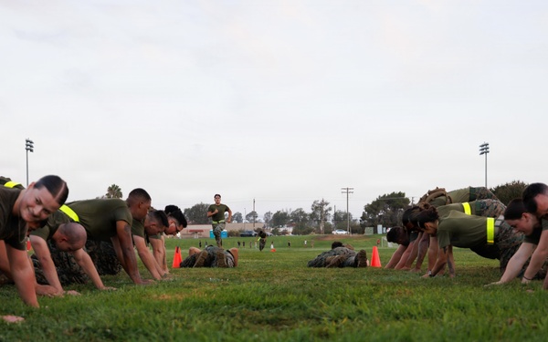 CLR-1 Participates in CFT training