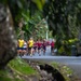 DELAYEN 26: MRF-D Marines begin participation in exercise with French Armed Forces in French Polynesia