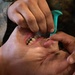 MRF-D Marines conduct exercise circuits, tactical casualty combat care