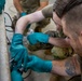 Idaho Air National Guard civil engineers strengthen partnership during Canadian DFT