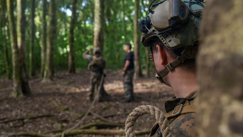 DELAYEN 26: MRF-D Marines, French soldiers participate in ropes course