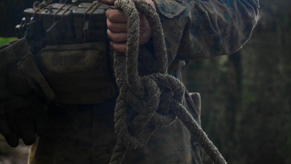 DELAYEN 26: MRF-D Marines, French soldiers participate in ropes course