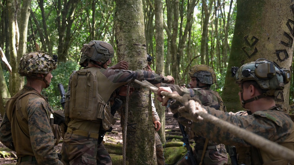 DELAYEN 26: MRF-D Marines, French soldiers participate in ropes course
