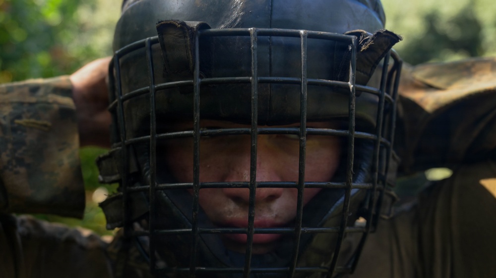 DELAYEN 26: MRF-D Marines, French soldiers exchange martial arts