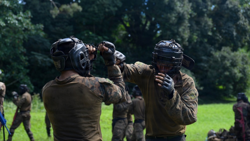 DELAYEN 26: MRF-D Marines, French soldiers exchange martial arts